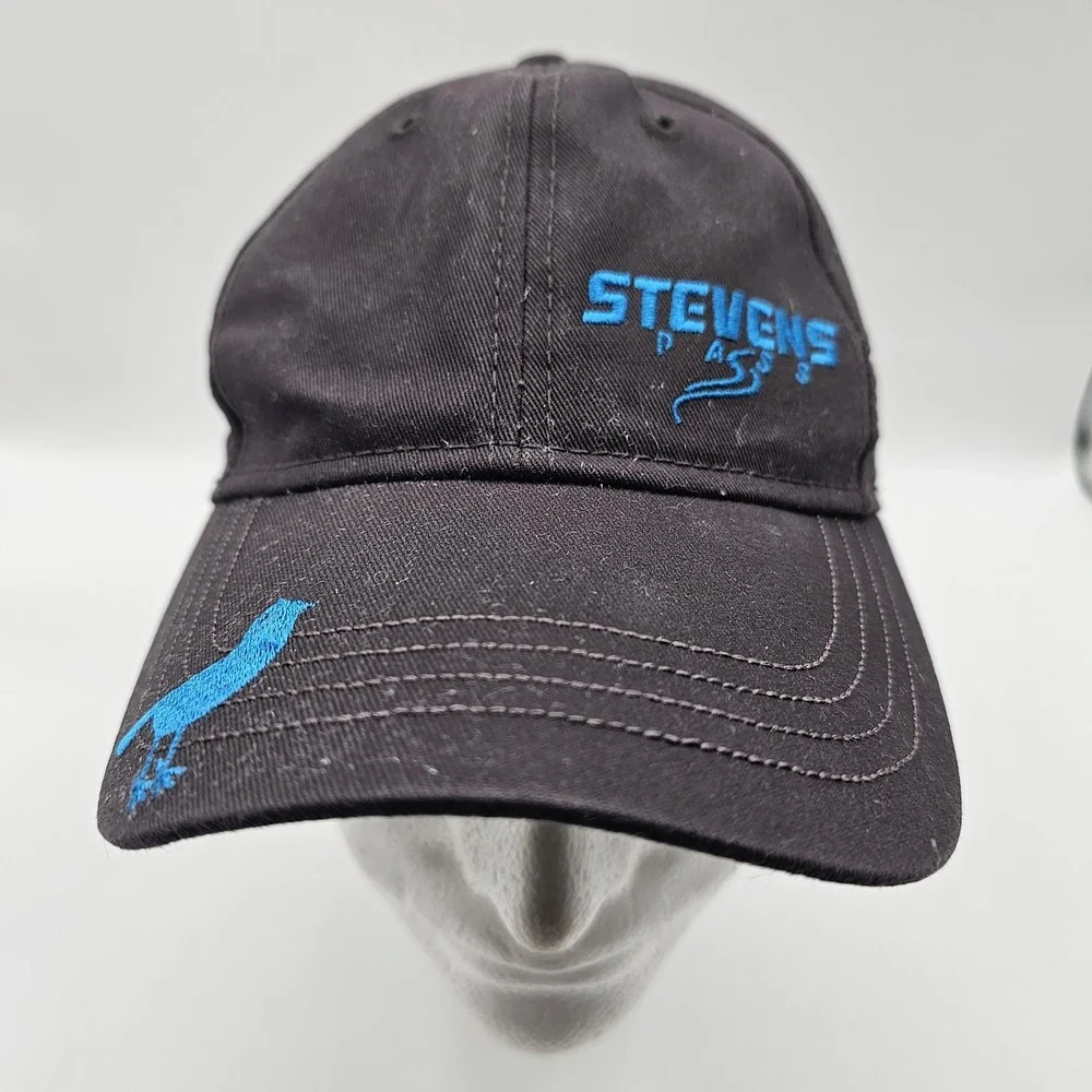 Stevens Pass Hat Cap Strap‎ Back Embroidered Blue Bird Team 2019-2020 One Size